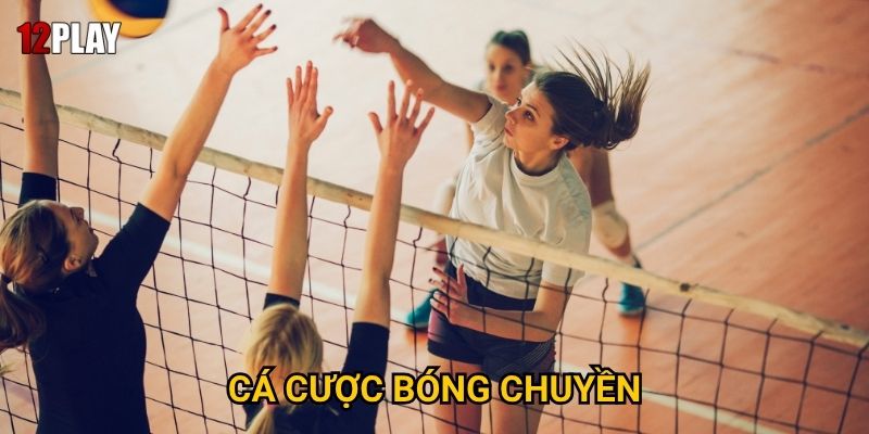Vì sao cá cược bóng chuyền lại hấp dẫn tại 12play? 3 Vì sao cá cược bóng chuyền lại hấp dẫn tại 12play?