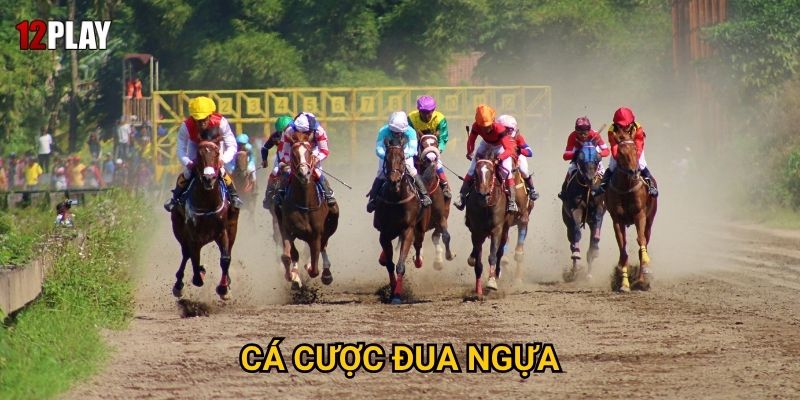 Vì sao cá cược đua ngựa mang đến cảm giác phấn khích tại 12play? 7 Vì sao cá cược đua ngựa mang đến cảm giác phấn khích tại 12play?