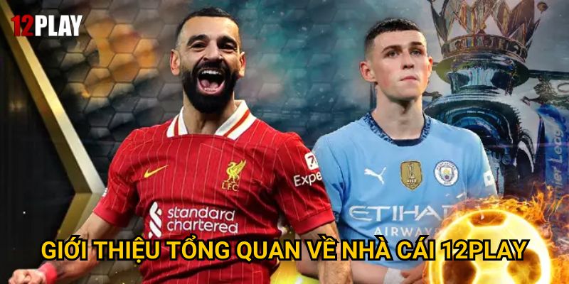 Giới thiệu tổng quan về nhà cái 12Play