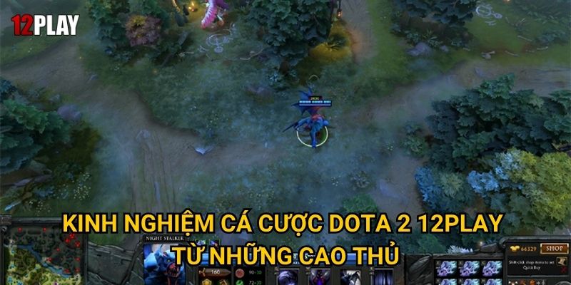 Kinh nghiệm cá cược Dota 2 12play từ những cao thủ