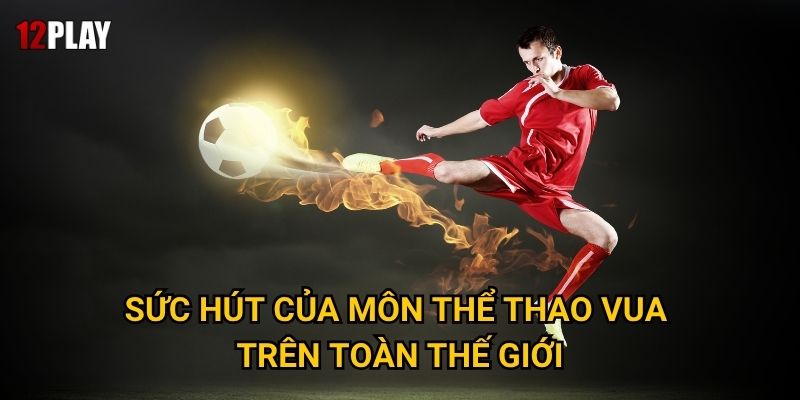Sức hút của môn thể thao vua trên toàn thế giới